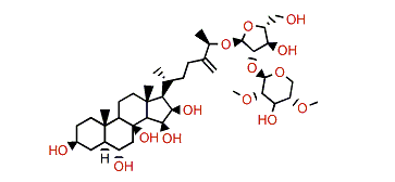 Culcitoside C8